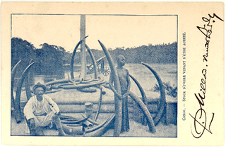 Illustration for article titled A New Way to See the Old Congo